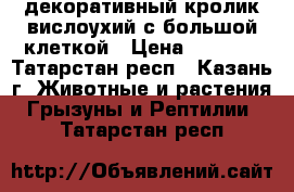 декоративный кролик вислоухий с большой клеткой › Цена ­ 2 500 - Татарстан респ., Казань г. Животные и растения » Грызуны и Рептилии   . Татарстан респ.